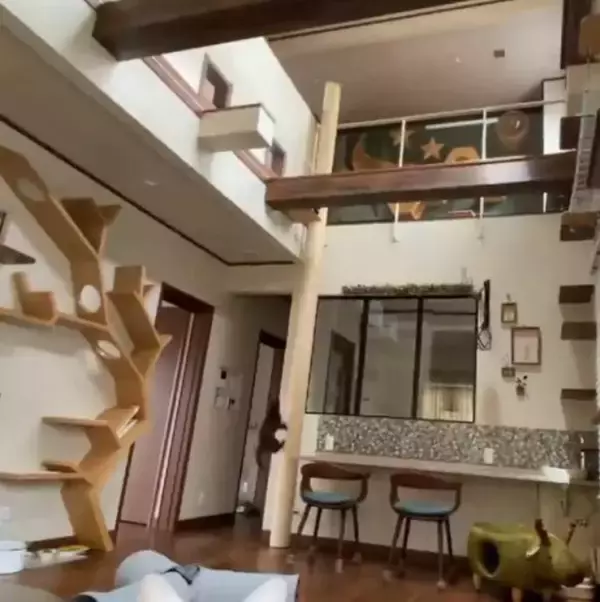 「「生計を立てるのは無理がある」“猫の希少種”専門ブリーダーが明かす実情。悪徳ブリーダーへの憤りも」の画像