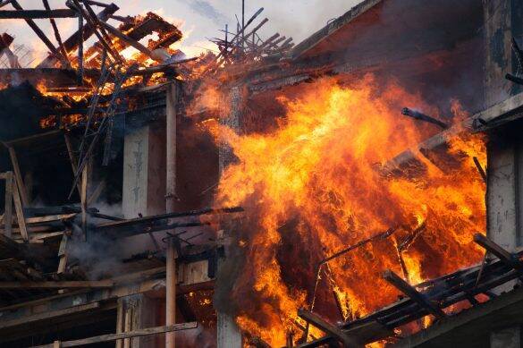 タバコポイ捨てじいさんに悩む主婦、ある日“特大の悲劇”が彼を襲った／びっくり体験人気記事BEST