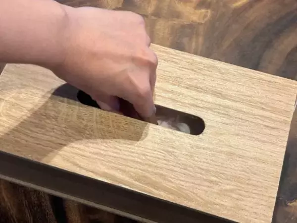 「残り少ない“ソフトパックのティッシュ”異常に取りづらい問題。カインズの“398円ケース”で一発解決した」の画像