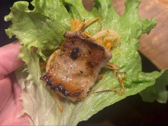 激安スーパー「ロピア」の“味付け肉”が凄すぎる！100g 89円〜の衝撃コスパ「メガパック」から「肉だれマヨ」まで5選