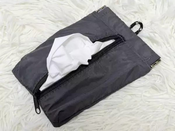 「ポケットティッシュがバッグの中でぐちゃぐちゃになる問題→ダイソーの220円アイテムで解決！」の画像