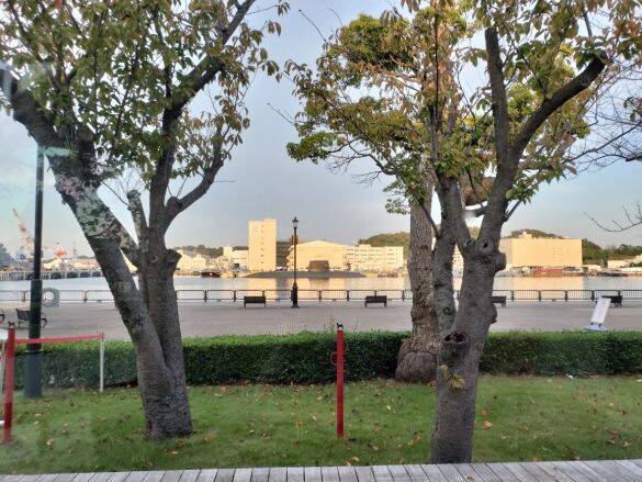 元子役・東京育ち・36歳の私が“地縁”に憧れて始めたこと「東京に実家があるありがたみを噛みしめろと言われるけれど…」