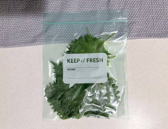 野菜を腐らせる前に買って！ ダイソー110円“鮮度保持バッグ”の実力に驚いた。すぐ傷む野菜もシャキッと長持ち