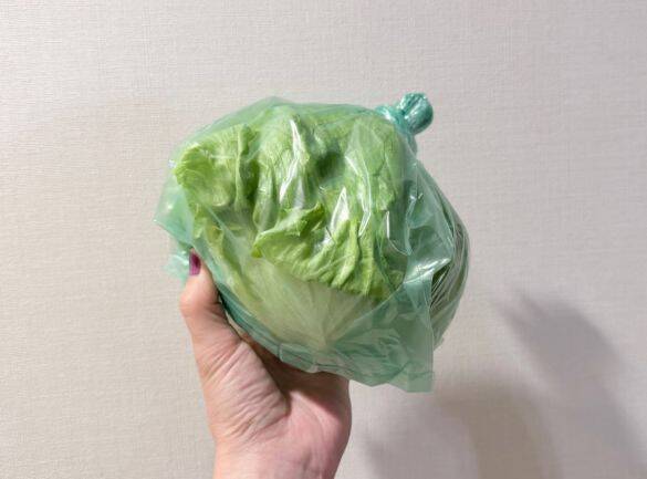 野菜を腐らせる前に買って！ ダイソー110円“鮮度保持バッグ”の実力に驚いた。すぐ傷む野菜もシャキッと長持ち