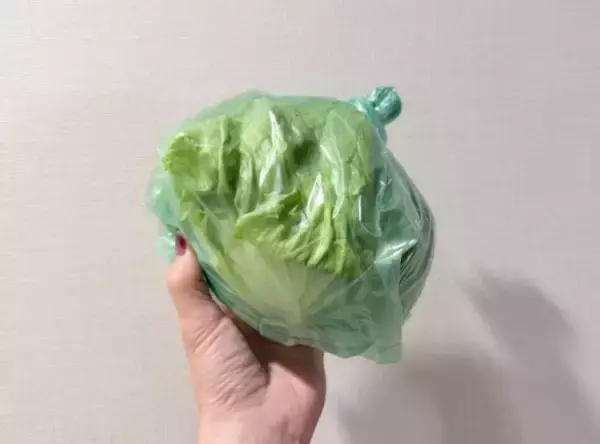 「野菜を腐らせる前に買って！ ダイソー110円“鮮度保持バッグ”の実力に驚いた。すぐ傷む野菜もシャキッと長持ち」の画像