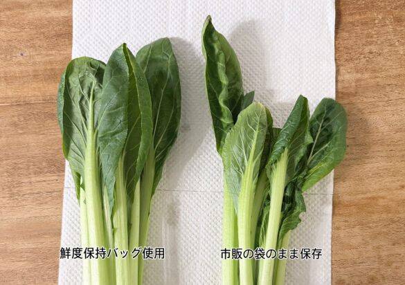 野菜を腐らせる前に買って！ ダイソー110円“鮮度保持バッグ”の実力に驚いた。すぐ傷む野菜もシャキッと長持ち