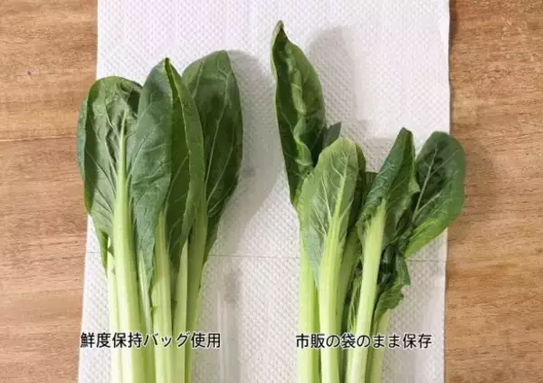 「野菜を腐らせる前に買って！ ダイソー110円“鮮度保持バッグ”の実力に驚いた。すぐ傷む野菜もシャキッと長持ち」の画像