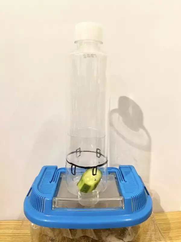 「「虫を殺したくない」虫好きの8歳男子が発明した“コバエホイホイ”がスゴい！本人とママに話を聞くと」の画像