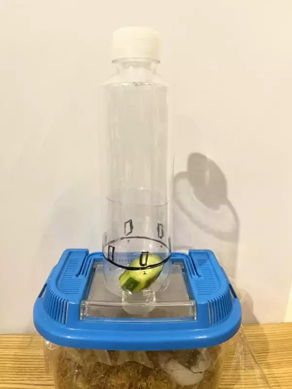 「「虫を殺したくない」虫好きの8歳男子が発明した“コバエホイホイ”がスゴい！本人とママに話を聞くと」の画像