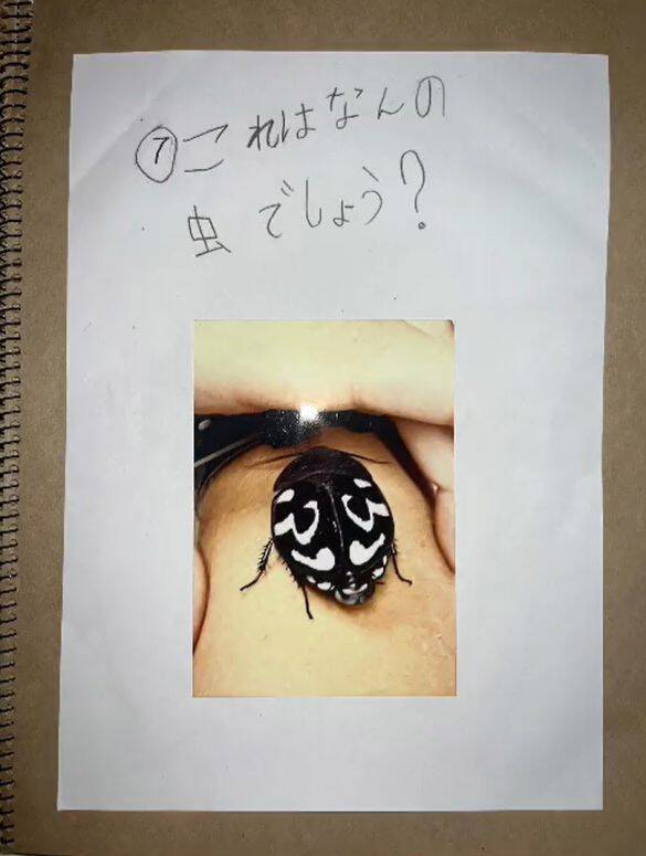 「虫を殺したくない」虫好きの8歳男子が発明した“コバエホイホイ”がスゴい！本人とママに話を聞くと