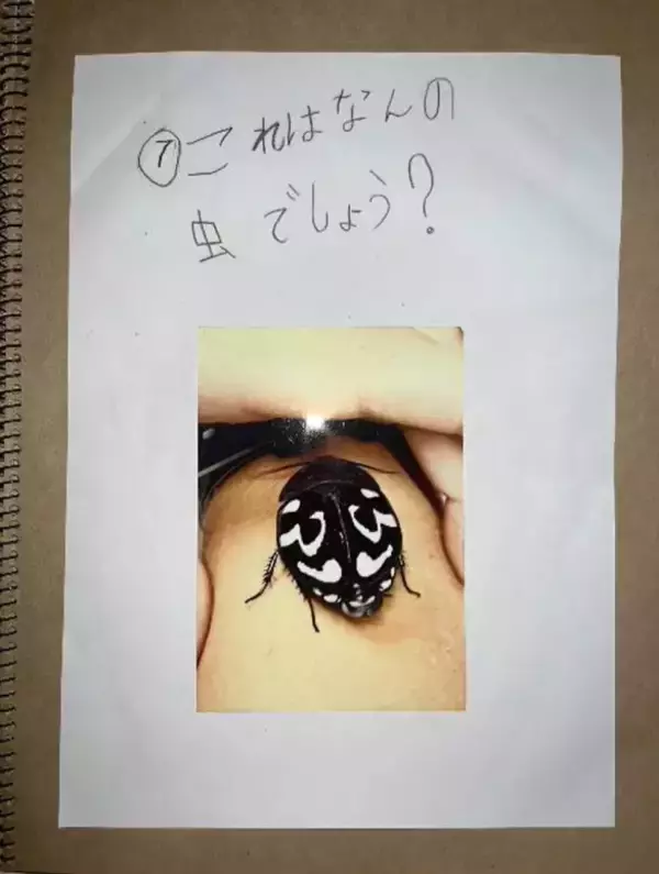 「「虫を殺したくない」虫好きの8歳男子が発明した“コバエホイホイ”がスゴい！本人とママに話を聞くと」の画像