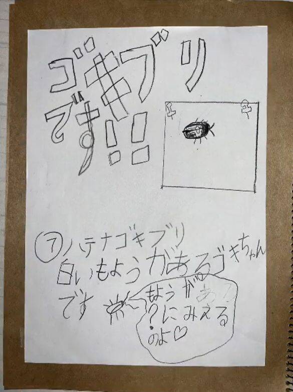 「虫を殺したくない」虫好きの8歳男子が発明した“コバエホイホイ”がスゴい！本人とママに話を聞くと