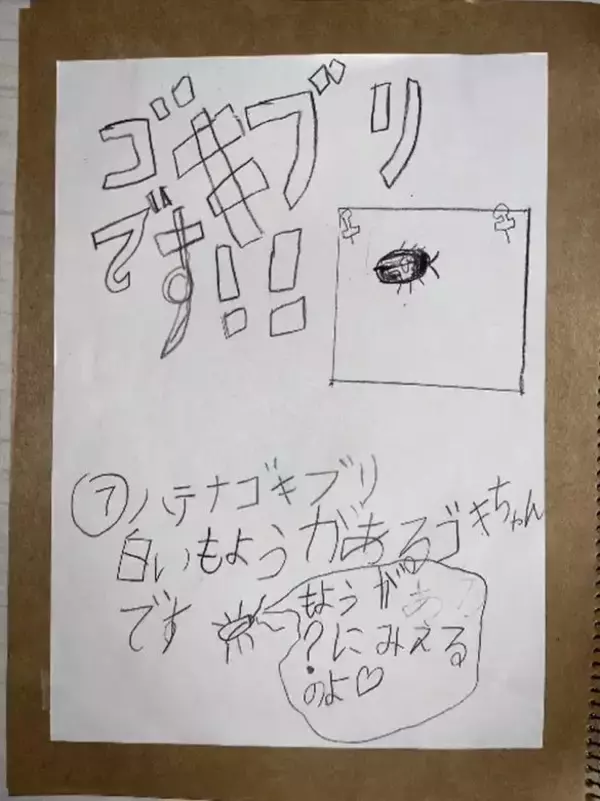「「虫を殺したくない」虫好きの8歳男子が発明した“コバエホイホイ”がスゴい！本人とママに話を聞くと」の画像