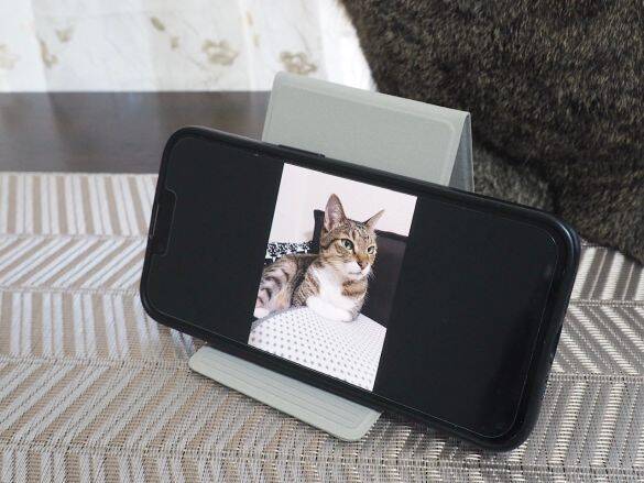 無印vsダイソー「スマホスタンド」を使い比べた結果。値段は“8倍”だけど、使い心地は