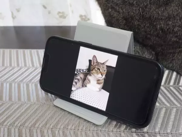 「無印vsダイソー「スマホスタンド」を使い比べた結果。値段は“8倍”だけど、使い心地は」の画像