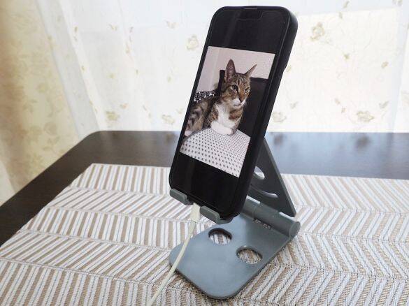 無印vsダイソー「スマホスタンド」を使い比べた結果。値段は“8倍”だけど、使い心地は