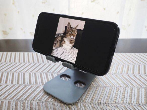 無印vsダイソー「スマホスタンド」を使い比べた結果。値段は“8倍”だけど、使い心地は