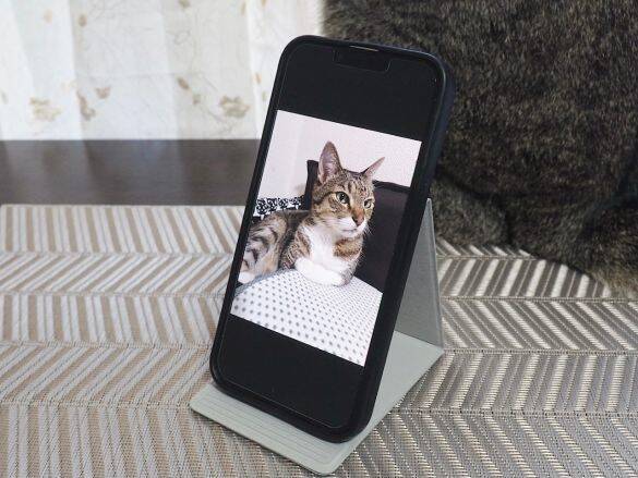 無印vsダイソー「スマホスタンド」を使い比べた結果。値段は“8倍”だけど、使い心地は