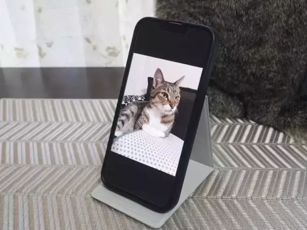 「無印vsダイソー「スマホスタンド」を使い比べた結果。値段は“8倍”だけど、使い心地は」の画像