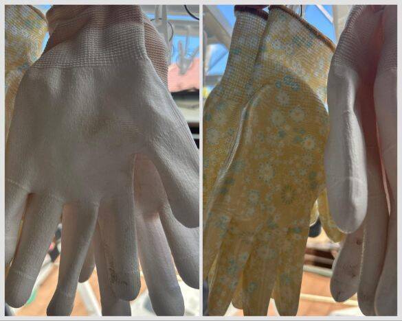 ワークマンとダイソーの「ゴム手袋」を徹底比較！ 値段はワークマンが約3倍。作業しやすいのは