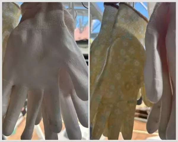 「ワークマンとダイソーの「ゴム手袋」を徹底比較！ 値段はワークマンが約3倍。作業しやすいのは」の画像