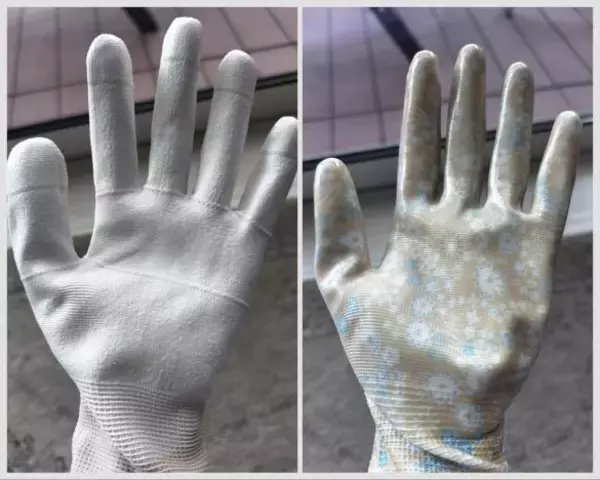 「ワークマンとダイソーの「ゴム手袋」を徹底比較！ 値段はワークマンが約3倍。作業しやすいのは」の画像