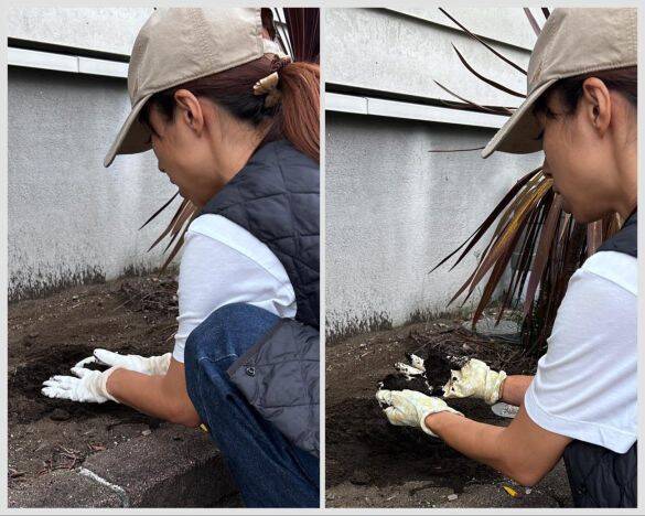 ワークマンとダイソーの「ゴム手袋」を徹底比較！ 値段はワークマンが約3倍。作業しやすいのは