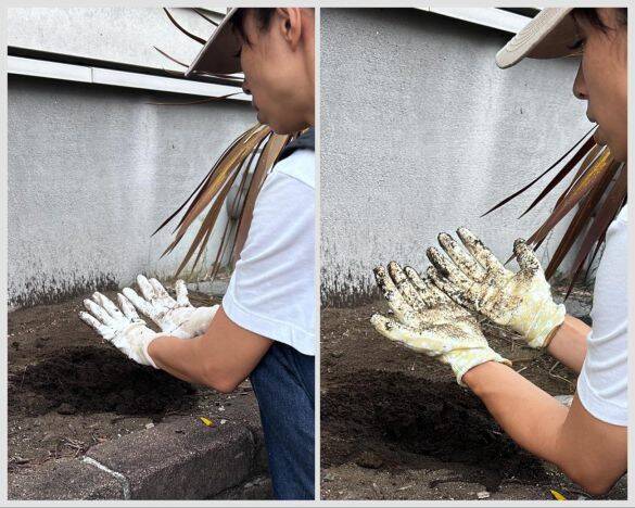 ワークマンとダイソーの「ゴム手袋」を徹底比較！ 値段はワークマンが約3倍。作業しやすいのは