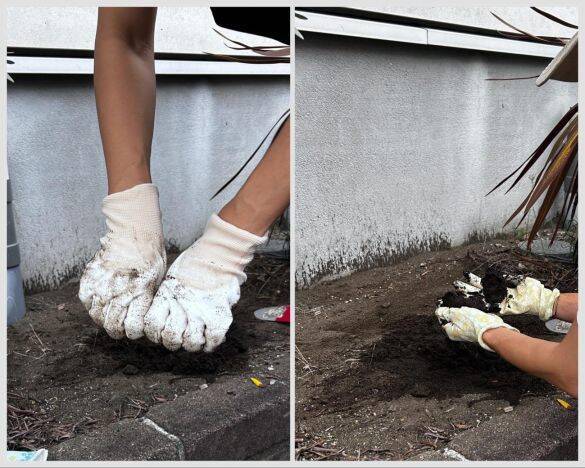 ワークマンとダイソーの「ゴム手袋」を徹底比較！ 値段はワークマンが約3倍。作業しやすいのは