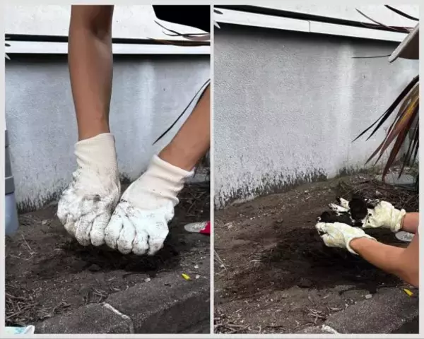 「ワークマンとダイソーの「ゴム手袋」を徹底比較！ 値段はワークマンが約3倍。作業しやすいのは」の画像