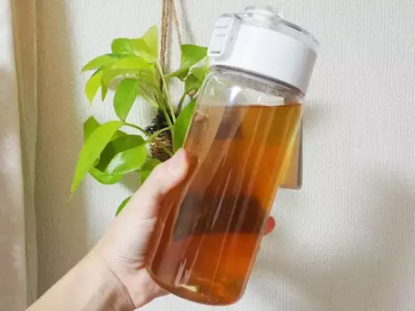 無印良品「990円クリアボトル」が“買い”だった！容器内ででいつのまにか水出し茶やコーヒーができるスグレモノ｜無印良品週間に買いたいもの