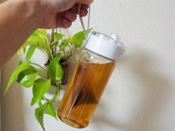 無印良品「990円クリアボトル」が“買い”だった！容器内ででいつのまにか水出し茶やコーヒーができるスグレモノ｜無印良品週間に買いたいもの