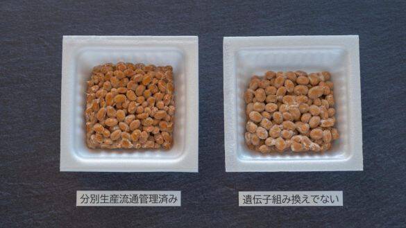 「安い納豆は体に良くない」は本当？ 3つの不安を検証。“タレ無し”を選ぶメリットも