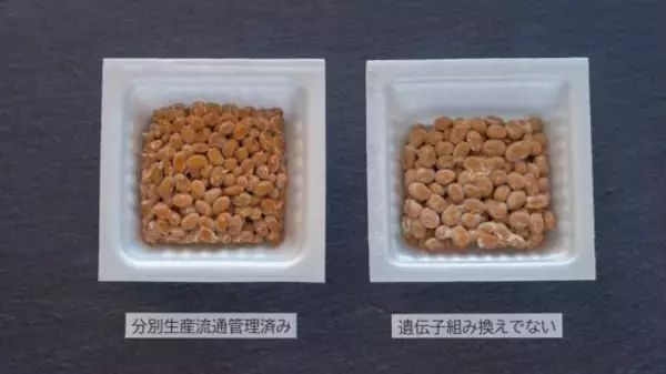 「「安い納豆は体に良くない」は本当？ 3つの不安を検証。“タレ無し”を選ぶメリットも」の画像