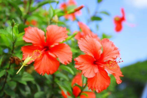 葬式で号泣する見知らぬ女性にギョッ、「どちら様？」と聞いてみたら／びっくり体験人気記事