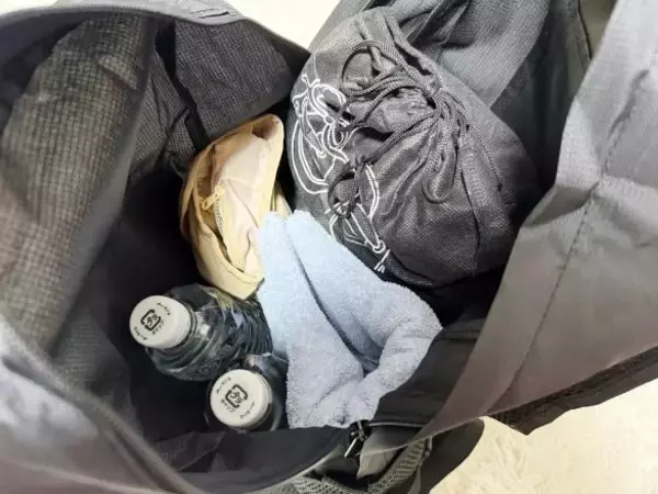「外出先で荷物が増えて両手がふさがる問題→ダイソー「折りたたみリュック」で解決！容量もばっちり」の画像