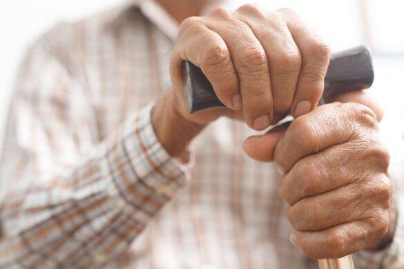 義父の見舞いに“春の花”を持っていったら…「持って帰れ！」と突き返されたワケ