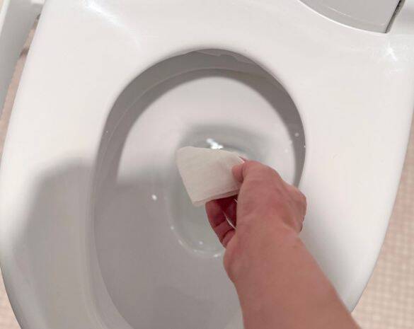汗をふいたらトイレにポイッ！ ダイソーの“流せるボディシート”が想像以上に快適。この夏はもう手放せない