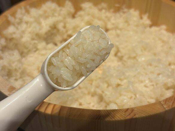 押すだけでシャリ量産！330円の“寿司パーティ爆速化アイテム”使ったら楽しすぎた。年末年始に大活躍の3COINSアイテム