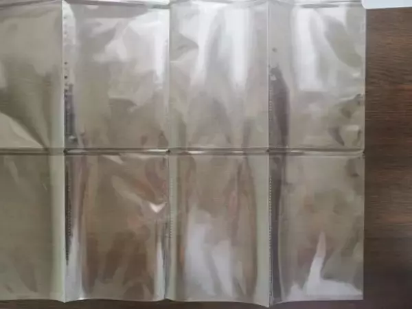 「「この使い方、天才！」無印のカードファイルが“カバン内の細かいモノ”の収納に最適。旅先にも◎｜無印良品週間に買いたいもの」の画像