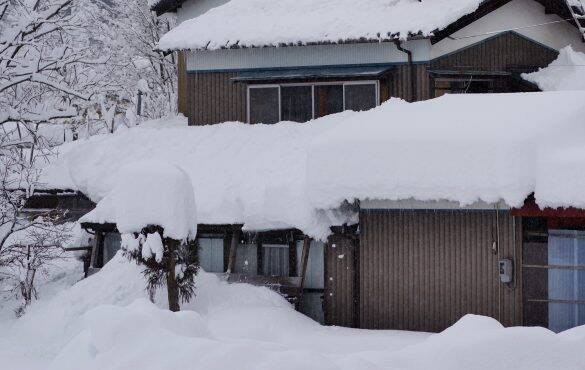 雪の中を薄着で歩く女性を発見、車で家まで送ったら「ひどい目にあいました」／びっくり体験人気記事BEST
