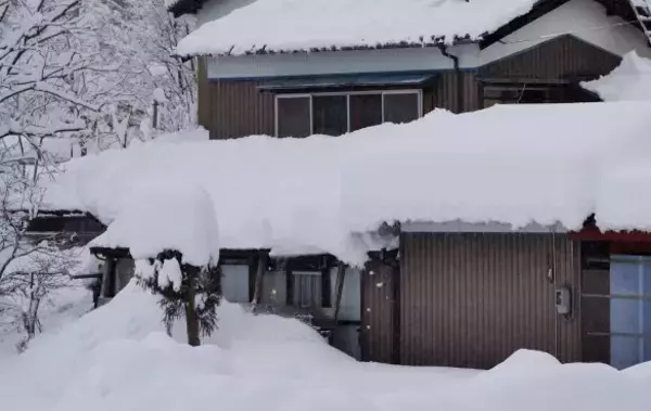 「雪の中を薄着で歩く女性を発見、車で家まで送ったら「ひどい目にあいました」／びっくり体験人気記事BEST」の画像