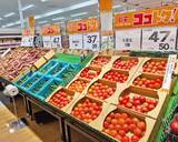 「トマト50円に500円台の絶品寿司まで！新生ディスカウントスーパーが驚きの激安を実現できるワケ」の画像3