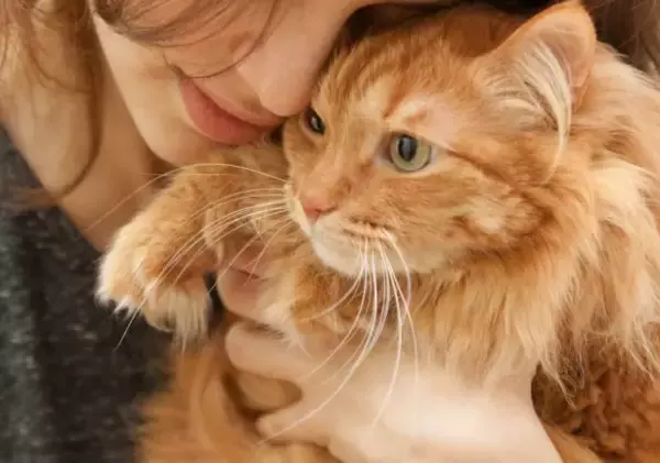 「彼氏の部屋に入ってビックリ。8畳にドーンと置かれた意外すぎるものとは？／恋愛人気記事BEST」の画像