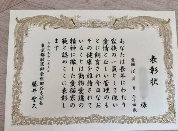 26歳とは思えないツヤツヤ毛並みがスゴい！ステージ4の腎不全と付き合うご長寿猫の穏やかな“ニャン生”