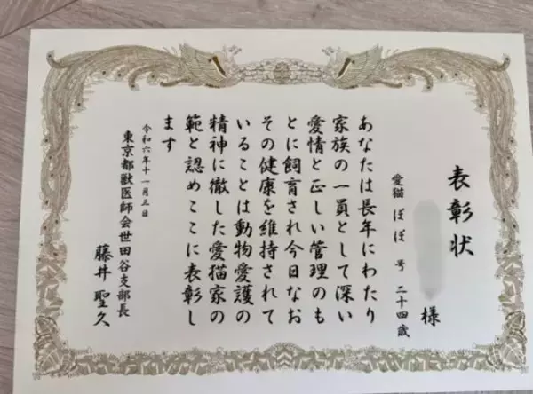 「26歳とは思えないツヤツヤ毛並みがスゴい！ステージ4の腎不全と付き合うご長寿猫の穏やかな“ニャン生”」の画像