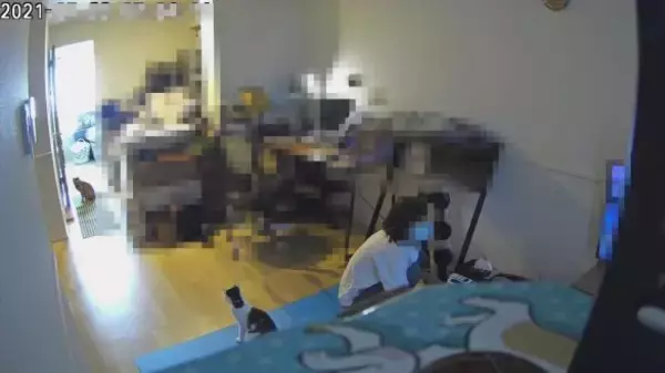 「留守中の“見守りカメラ”に男の姿が。「ずっと前から侵入されてた…」／びっくり体験人気記事BEST」の画像