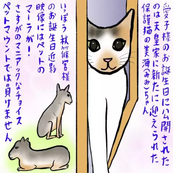 「生まれ変わったら皇室で飼われたい」愛子様の猫、秋篠宮家の“珍動物”…皇室ペットニュースに思う／辛酸なめ子