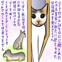「生まれ変わったら皇室で飼われたい」愛子様の猫、秋篠宮家の“珍動物”…皇室ペットニュースに思う／辛酸なめ子