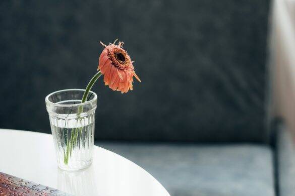 えっ、アダルトサイトに私の写真が?! 犯人の正体にア然／びっくり体験人気記事BEST